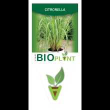 CITRONELLA-VIVAI BIOPLANT - SCICLI - 