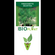 VIVAI BIOPLANT - SCICLI - 