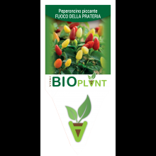 PEPERONCINO PICCANTE FUOCO DELLA PRATERIA-VIVAI BIOPLANT - SCICLI - 