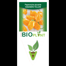 PEPERONCINO PICCANTE HABANERO YELLOW-VIVAI BIOPLANT - SCICLI - 