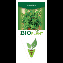 ORIGANO-VIVAI BIOPLANT - SCICLI - 