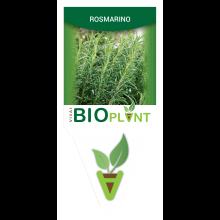 ROSMARINO-VIVAI BIOPLANT - SCICLI - 