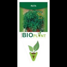 RUTA-VIVAI BIOPLANT - SCICLI - 