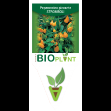 PEPERONCINO PICCANTE STROMBOLI-VIVAI BIOPLANT - SCICLI - 