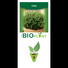 TIMO-VIVAI BIOPLANT - SCICLI - 